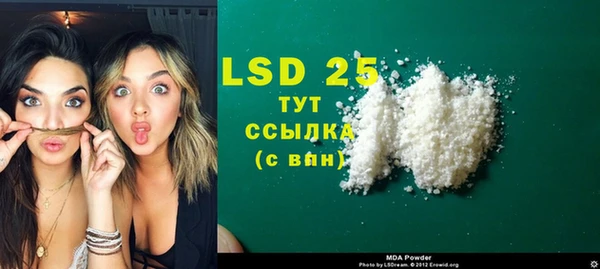 прущие грибы Нея