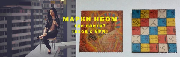 прущие грибы Нея