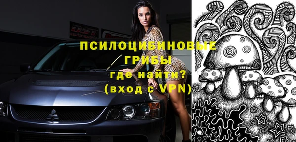 прущие грибы Нея