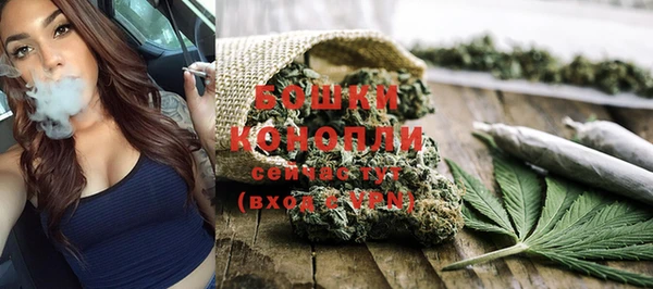 прущие грибы Нея