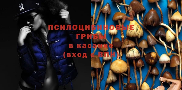 прущие грибы Нея