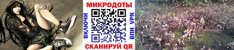 Купить  Тотьма  Галлюциногенные грибы прущие грибы 